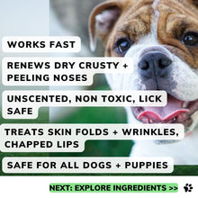 Dog Nose cream unscented, peeling noses
