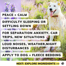 Dog product for separation anxiety, fireworks, new pets
