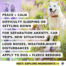 Dog product for separation anxiety, fireworks, new pets