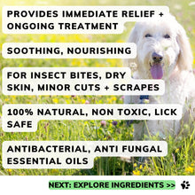 Skin product for dogs works fast